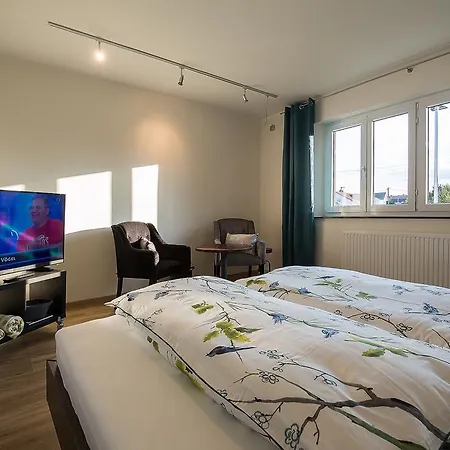 Kellermanns-apartment شقة ميمنغن